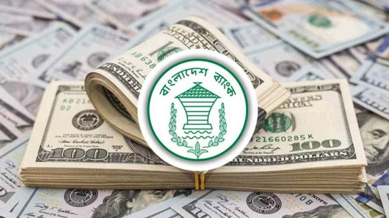 চার সপ্তাহে রেমিট্যান্স এলো ২৫৯ কোটি ডলার