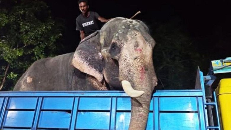 প্রধানমন্ত্রীর নির্দেশে ‘বাদশা বাহাদুর’ এখন জাতীয় চিড়িয়াখানা