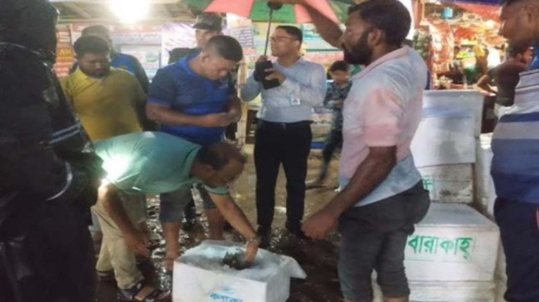সাতক্ষীরায় ২৬০ কেজি জেলি পুশ করা চিংড়ি জব্দ