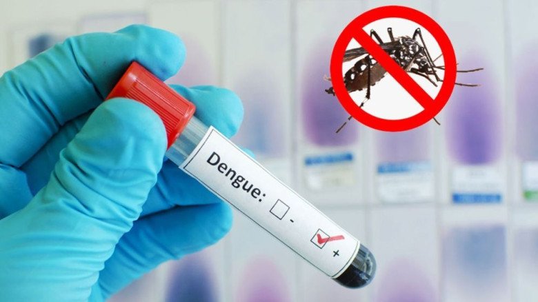 ডিসেম্বর পর্যন্ত ডেঙ্গু পরীক্ষা ফ্রি